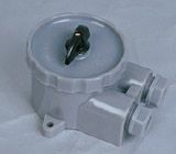 ���ÿ���